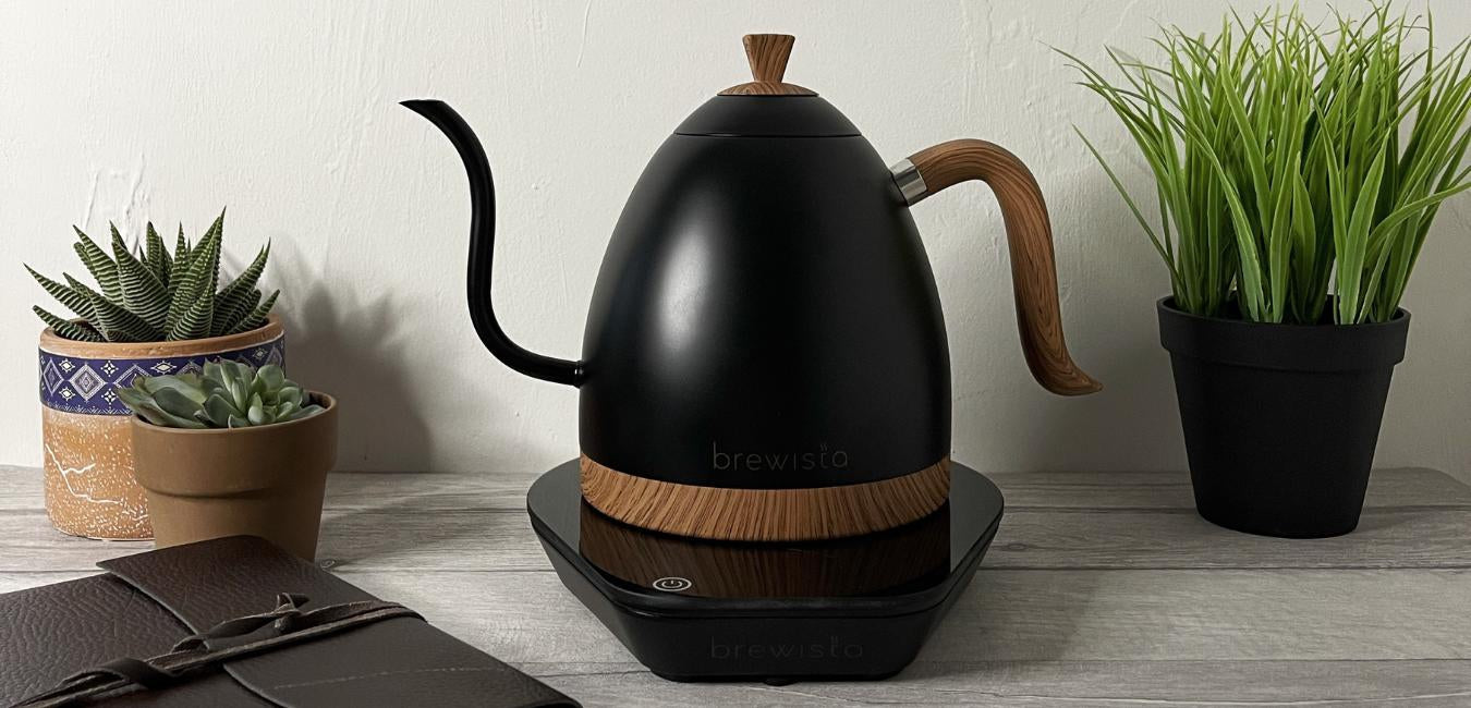 Best gooseneck kettle best sale